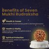 7 Mukhi Rudraksha (Nepali) – Blessings of Maa Lakshmi