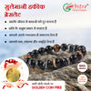 Sulemani Bracelet