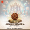 4 Mukhi (Four-Face) Rudraksha — Nepali Origin