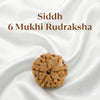 6 Mukhi Rudraksha (Nepali)