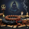 7 Mukhi Rudraksha Bracelet