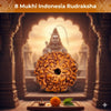 8 Mukhi Rudraksha (Indonesian)